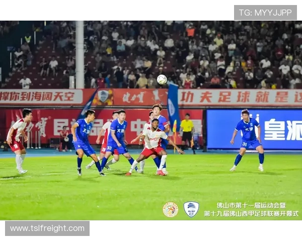 在哪里看西甲联赛：西甲联赛的观看渠道与平台推荐