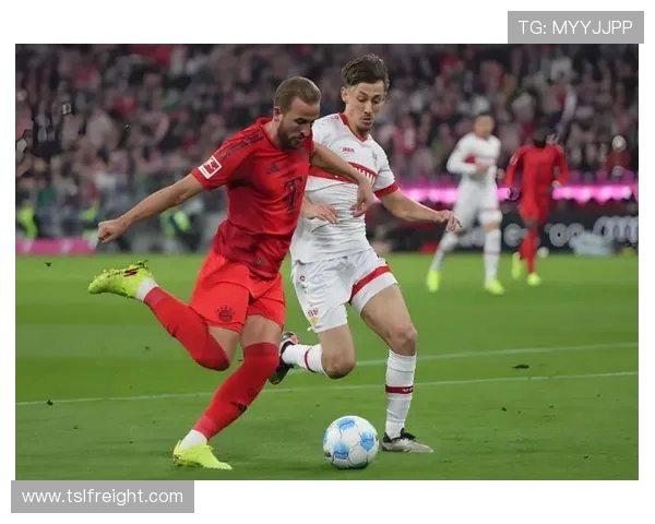 德甲球队夺冠及欧冠表现的综合评述报告