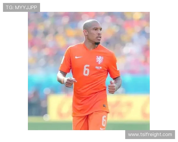 巴西队2014世界杯名单全解析与黄金一代兴衰回顾球星风云录记