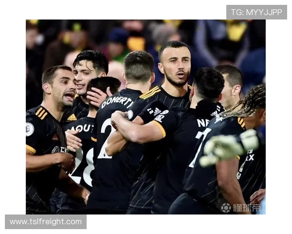 英超球员数据库完整收录与查询方式